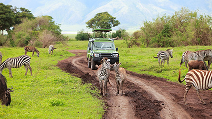 Balloon Safari vs Ground Safari in Tanzania