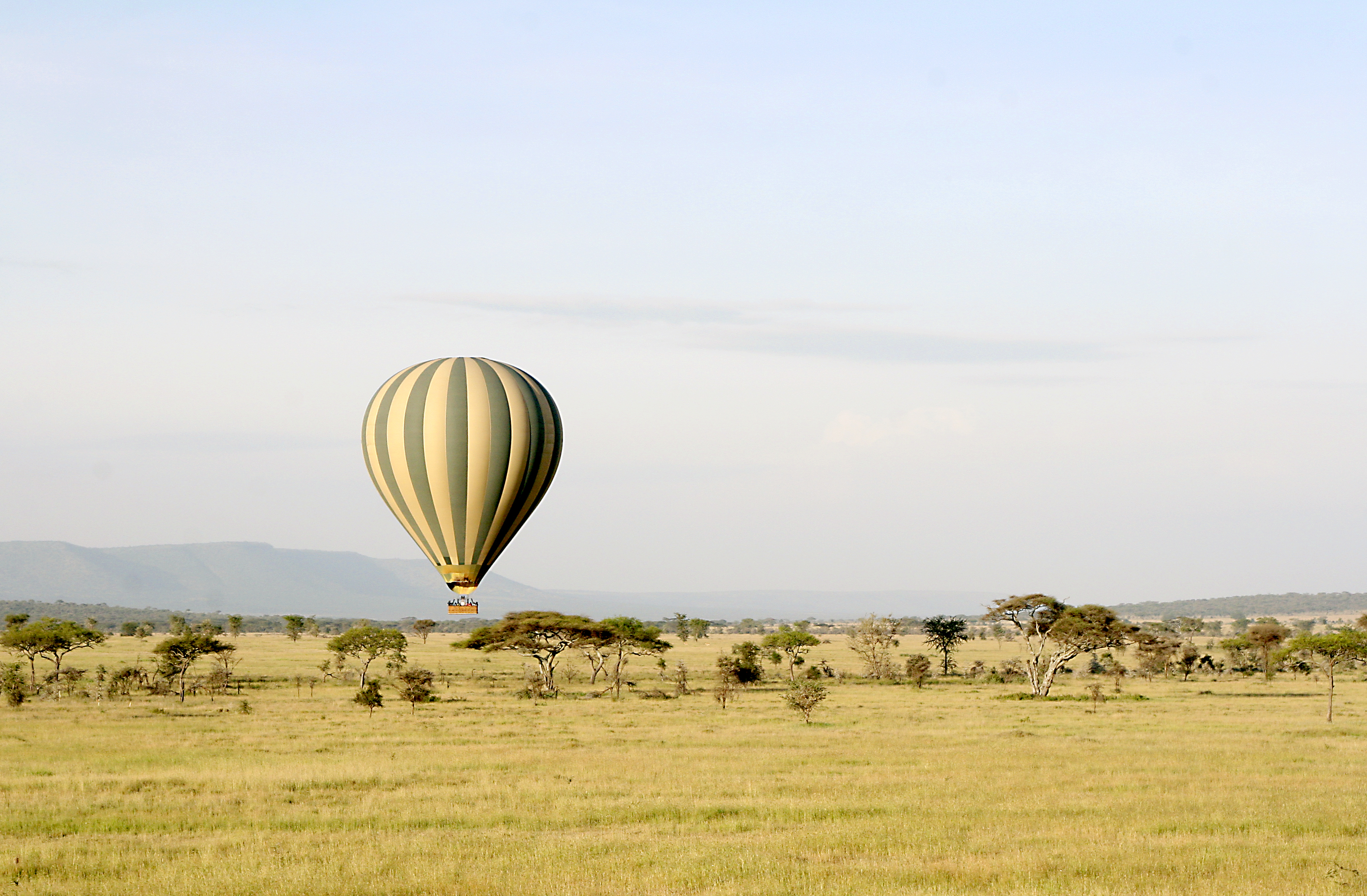 What to Expect on Your First Balloon Safari
