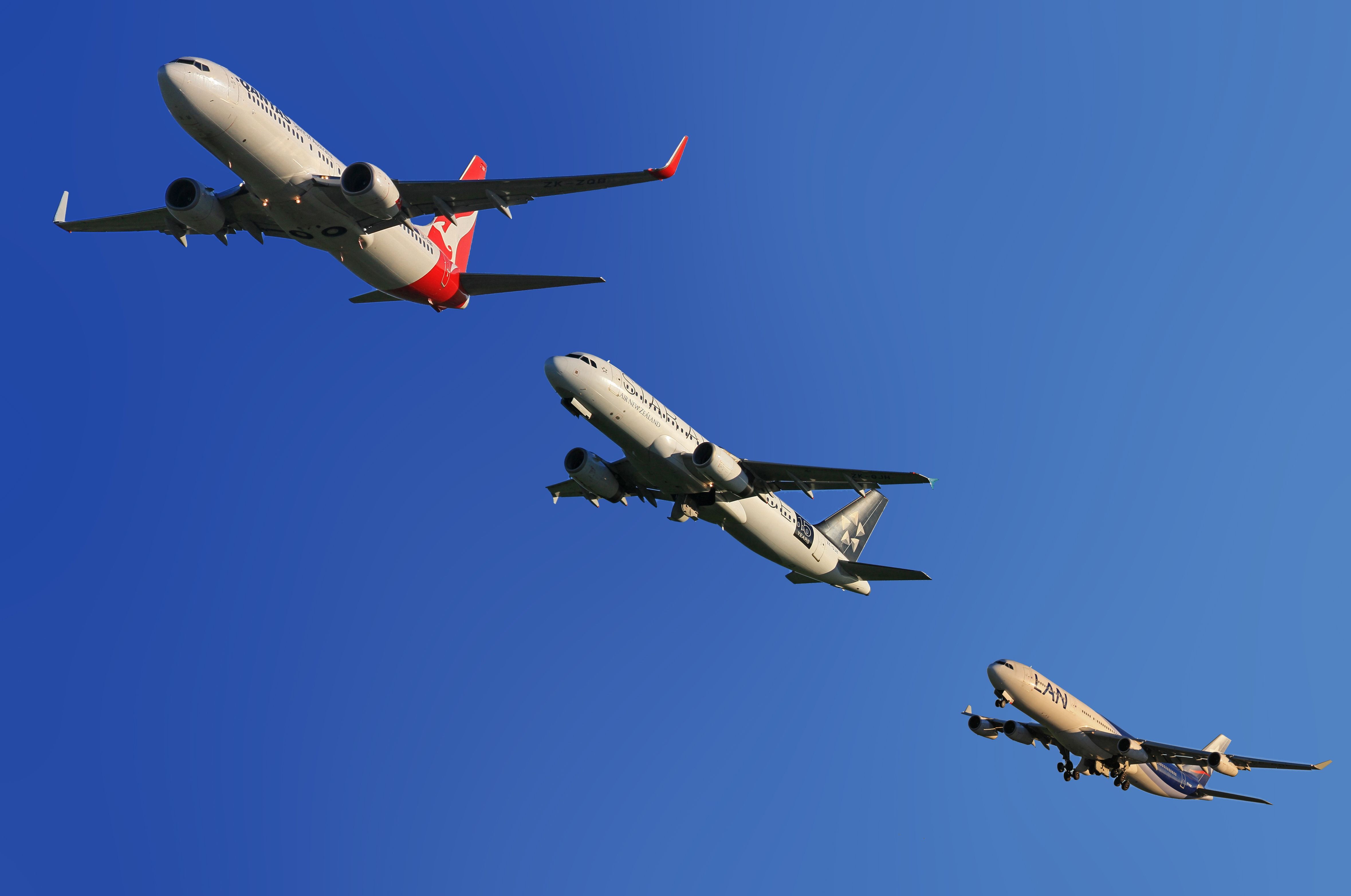 Best Flights to Arusha for Your Safari