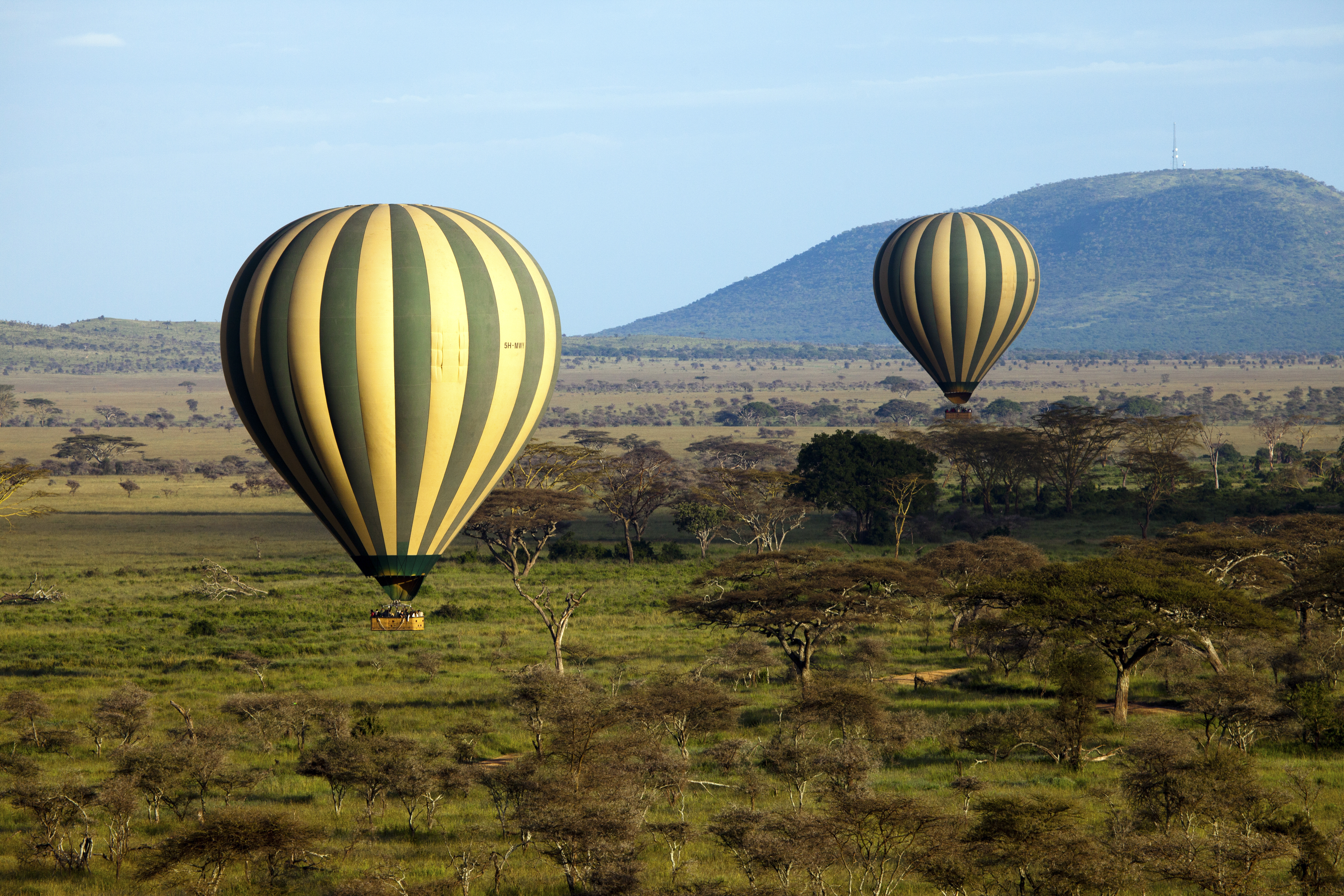 Tanzania Balloon Safari: Is It Worth It?