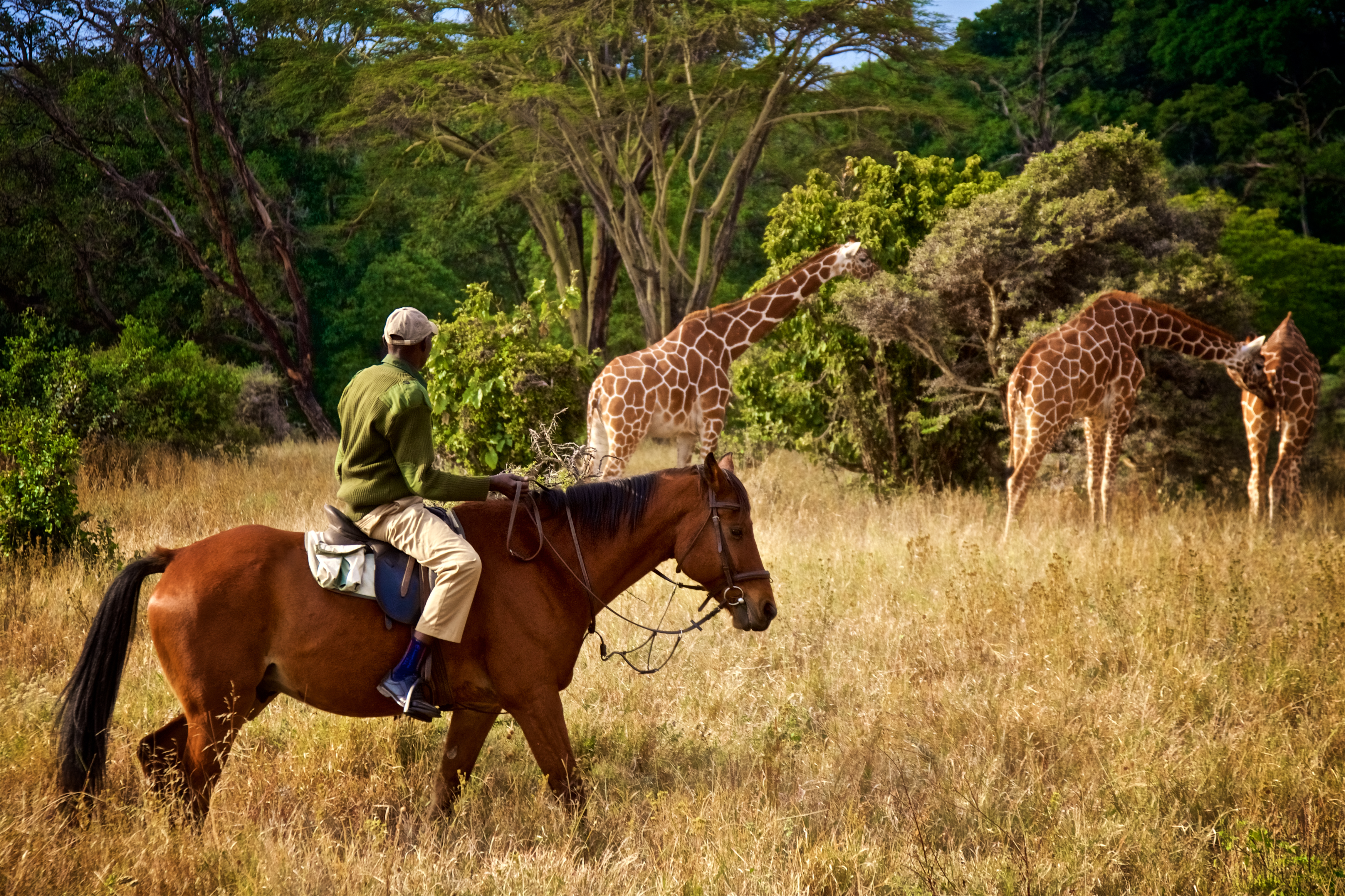Are Tanzania Safaris Worth the Money?