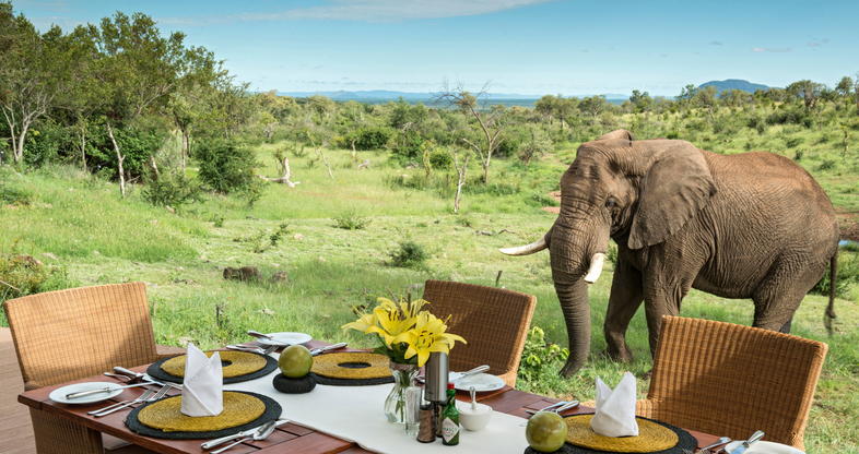 Budget vs Luxury Tanzania Safari: What Changes?