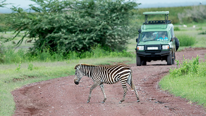 Tanzania Safari Vehicle Rental Guide