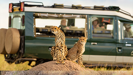 Your First Group Safari: What to Expect