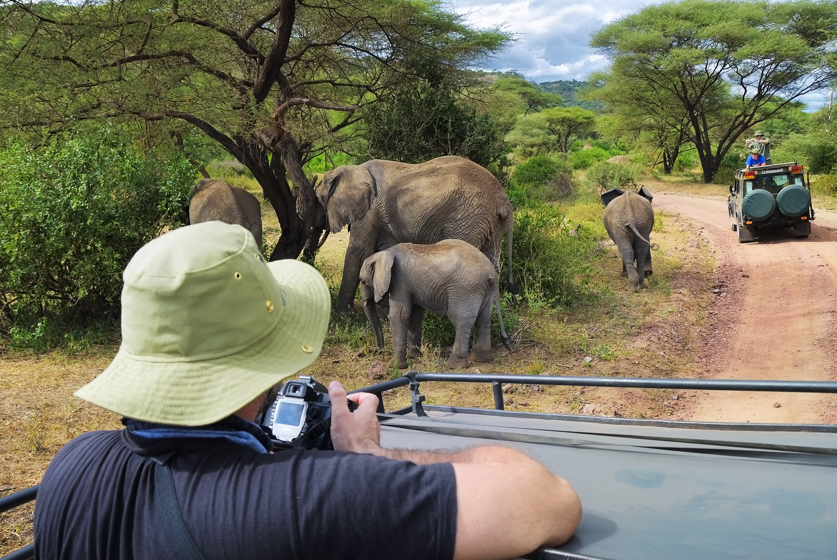 Photography Safari in Tanzania