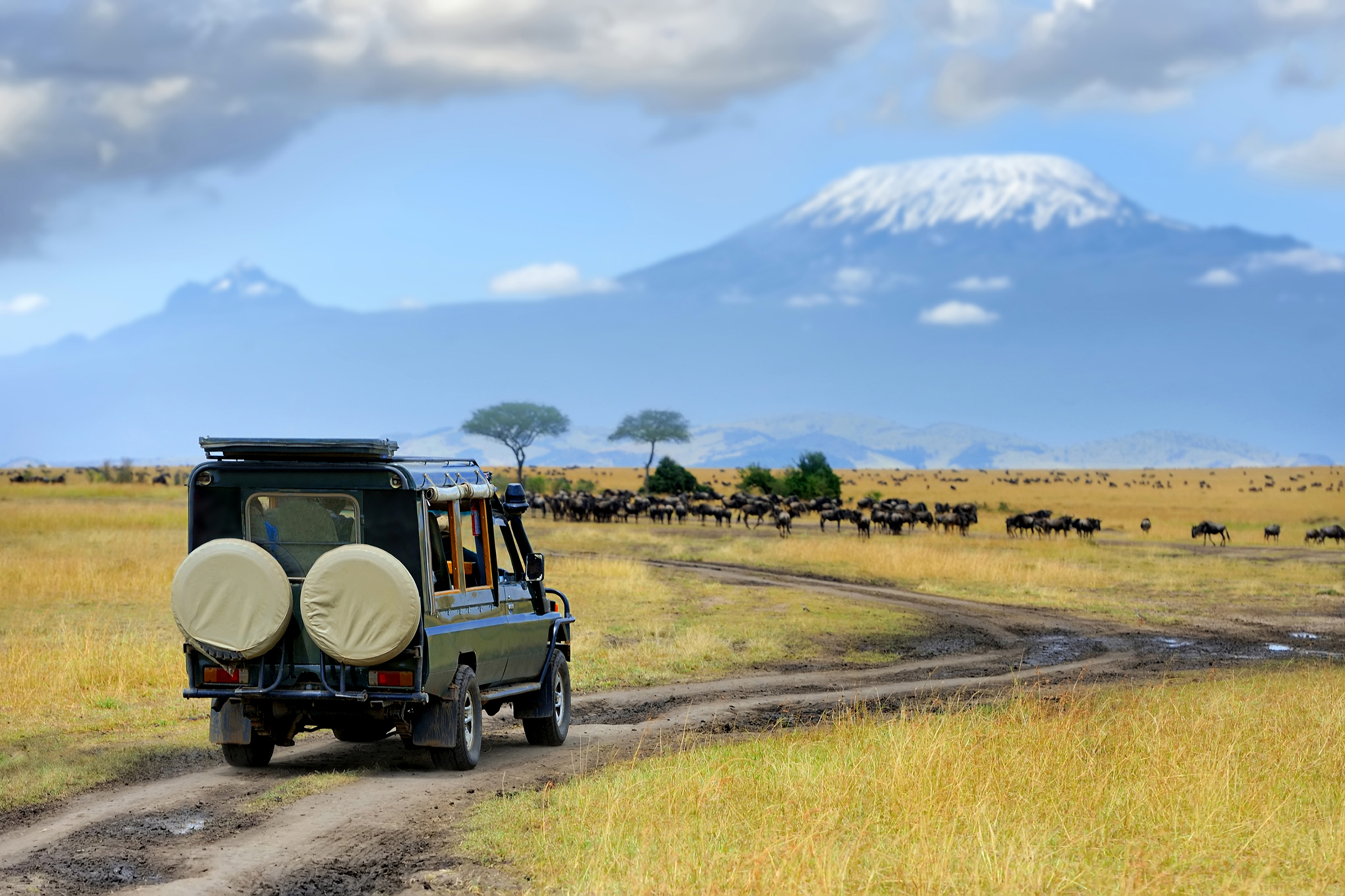 Luxury Safari in Tanzania: What It Means