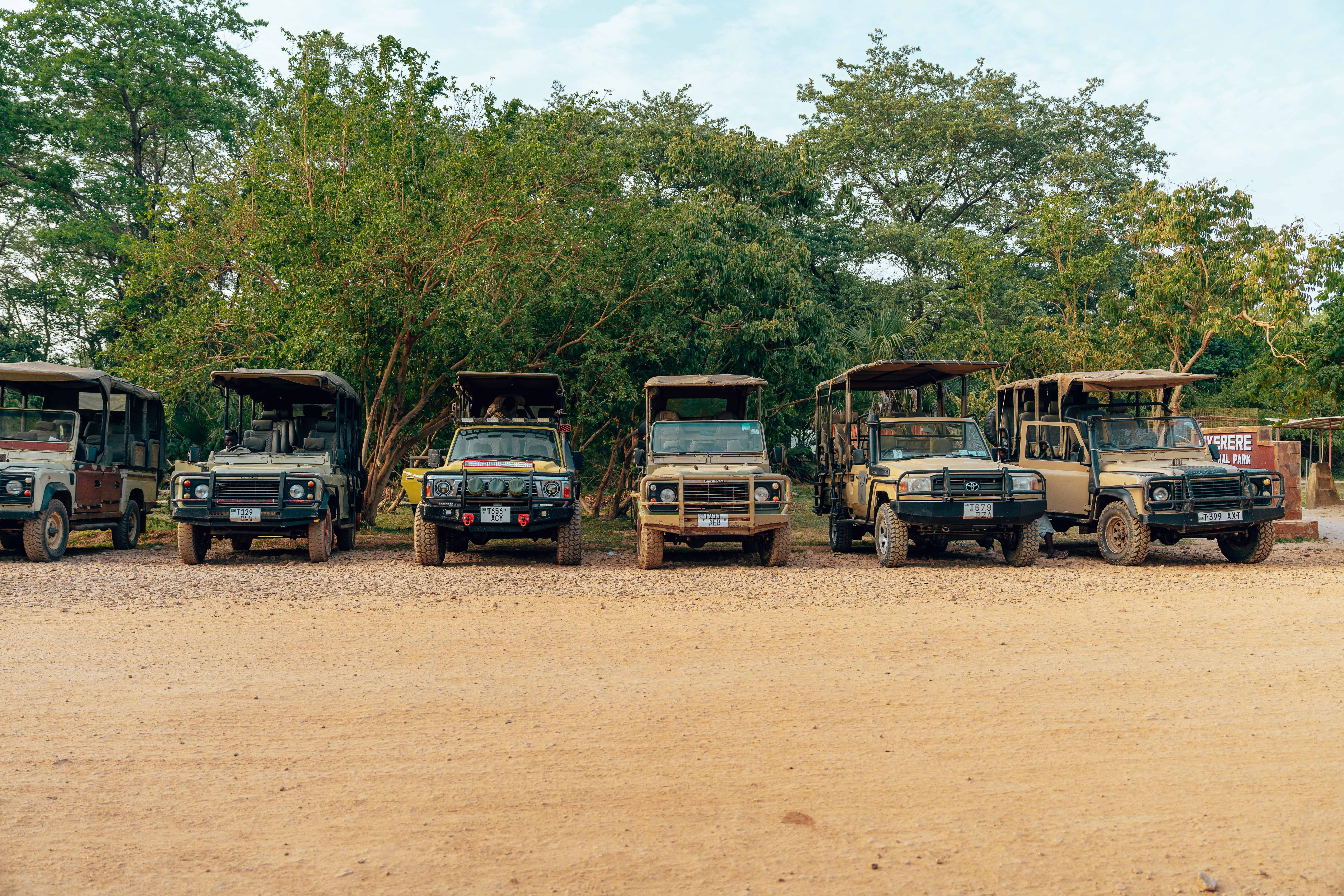 How Big Is a Tanzania Safari Group?