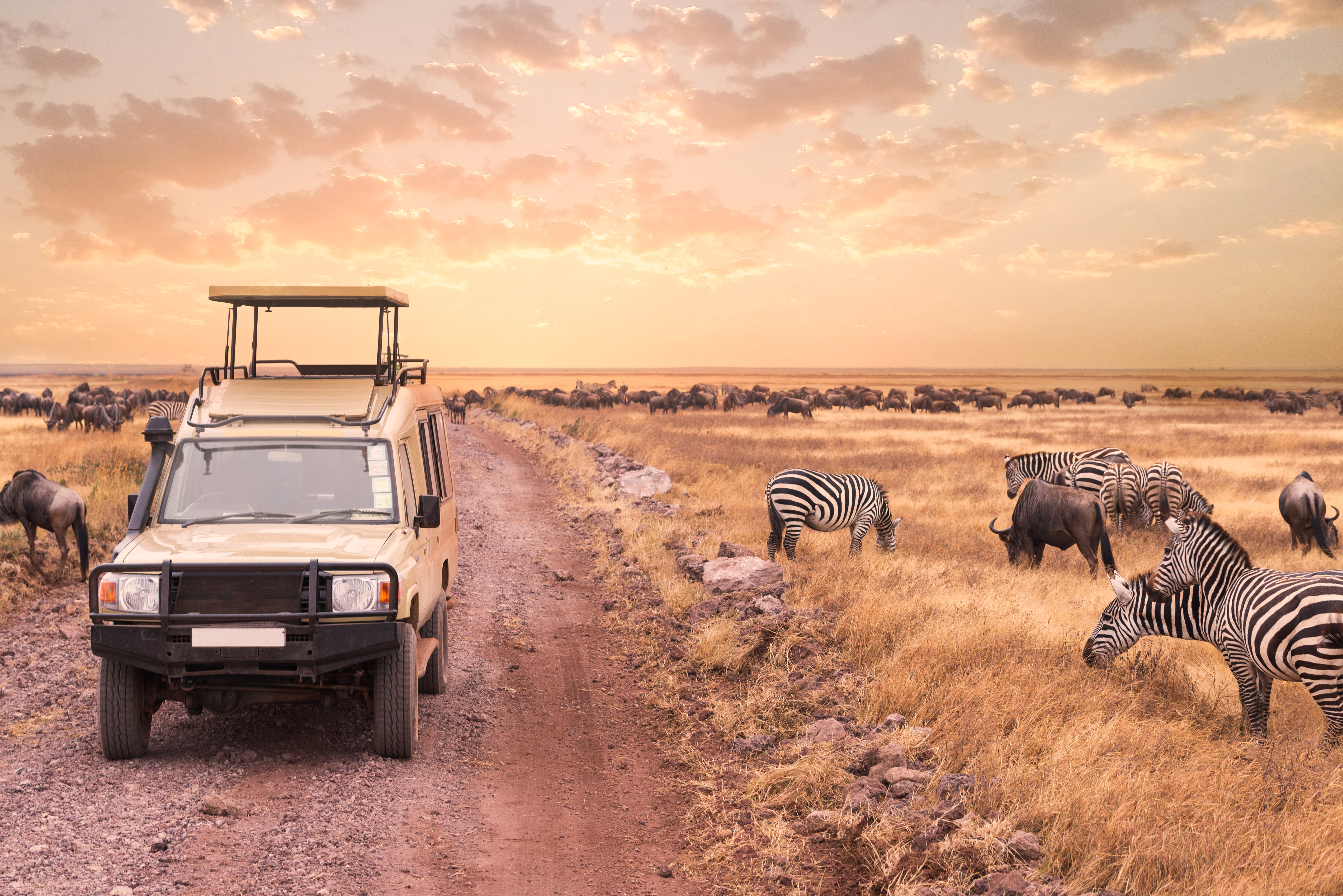 How to Travel Responsibly in Tanzania
