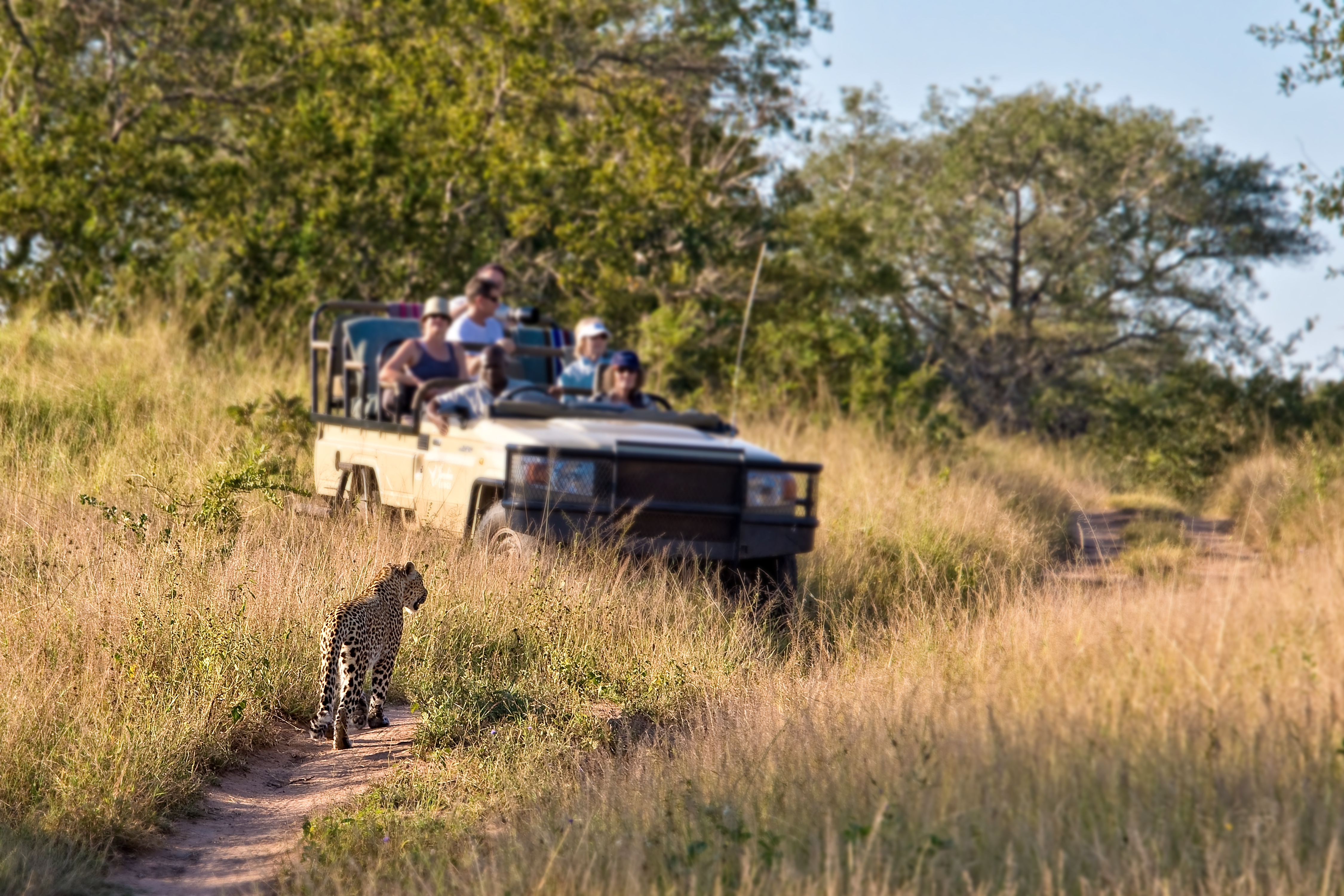 Is It Safe to Travel to Tanzania in 2026?