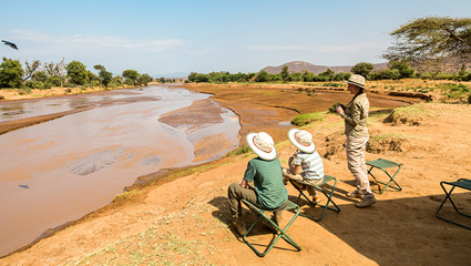 Where to Do a Walking Safari in Tanzania