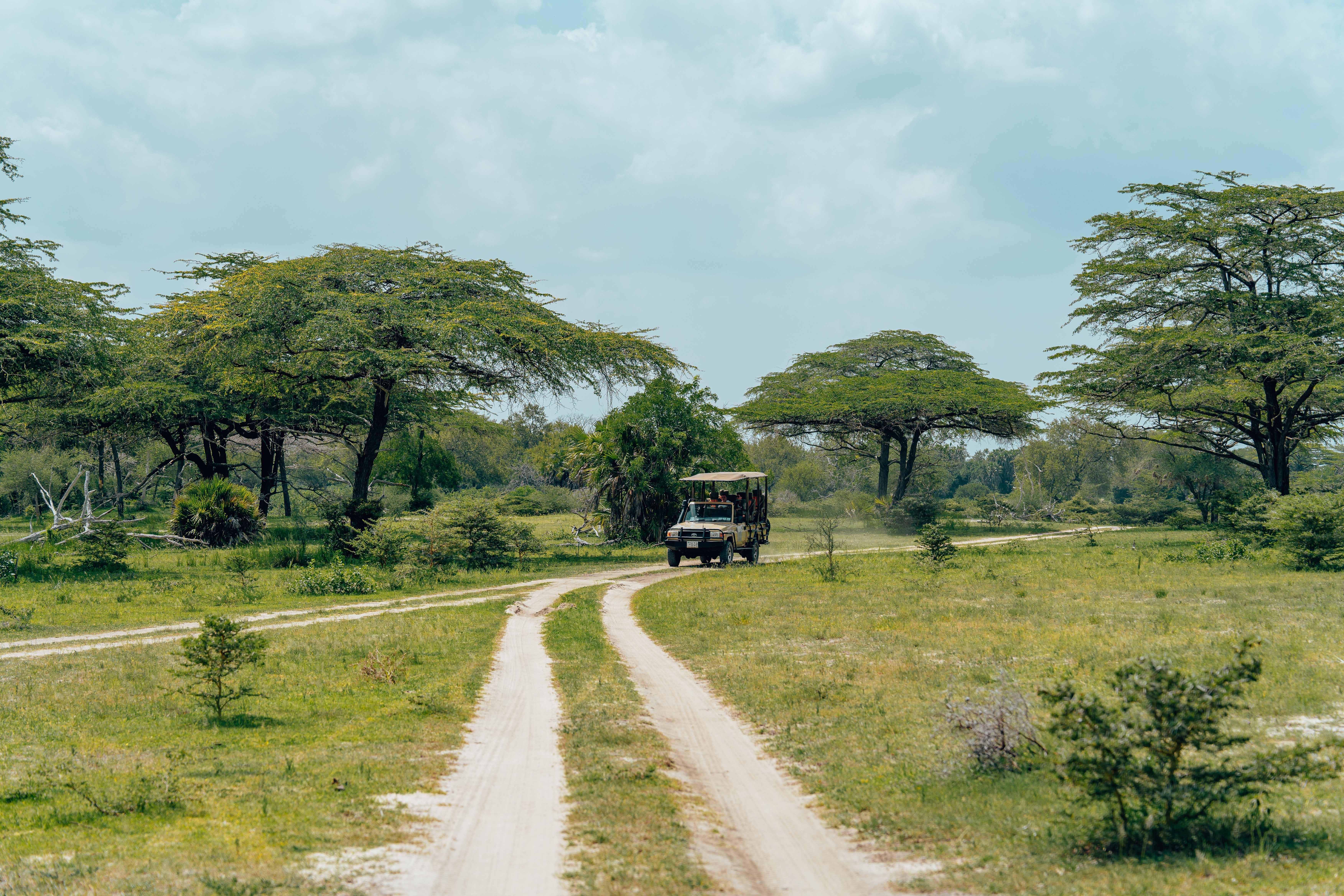 Package vs Custom Tanzania Safari Value