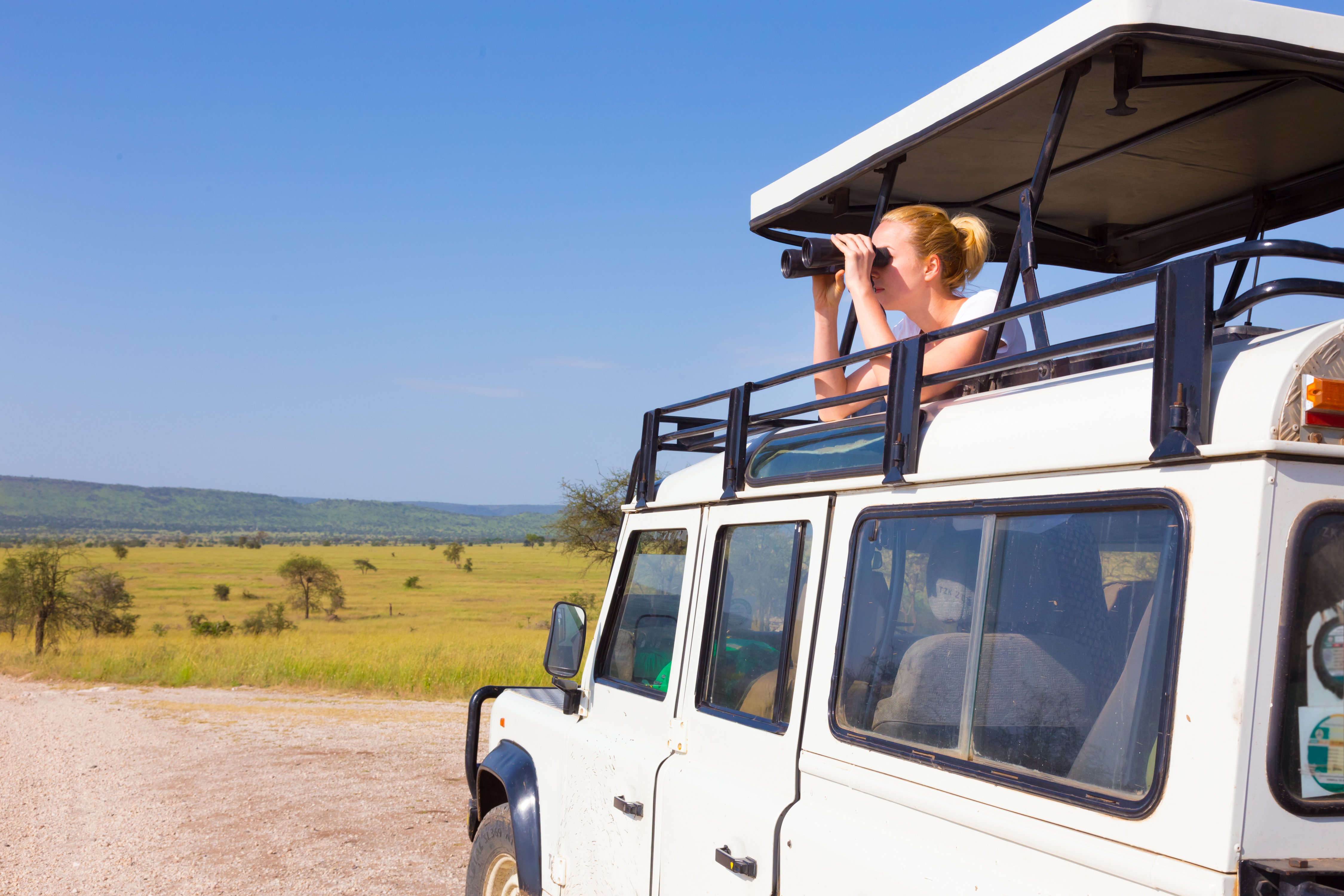 Is a Private Safari Driver-Guide Worth It?