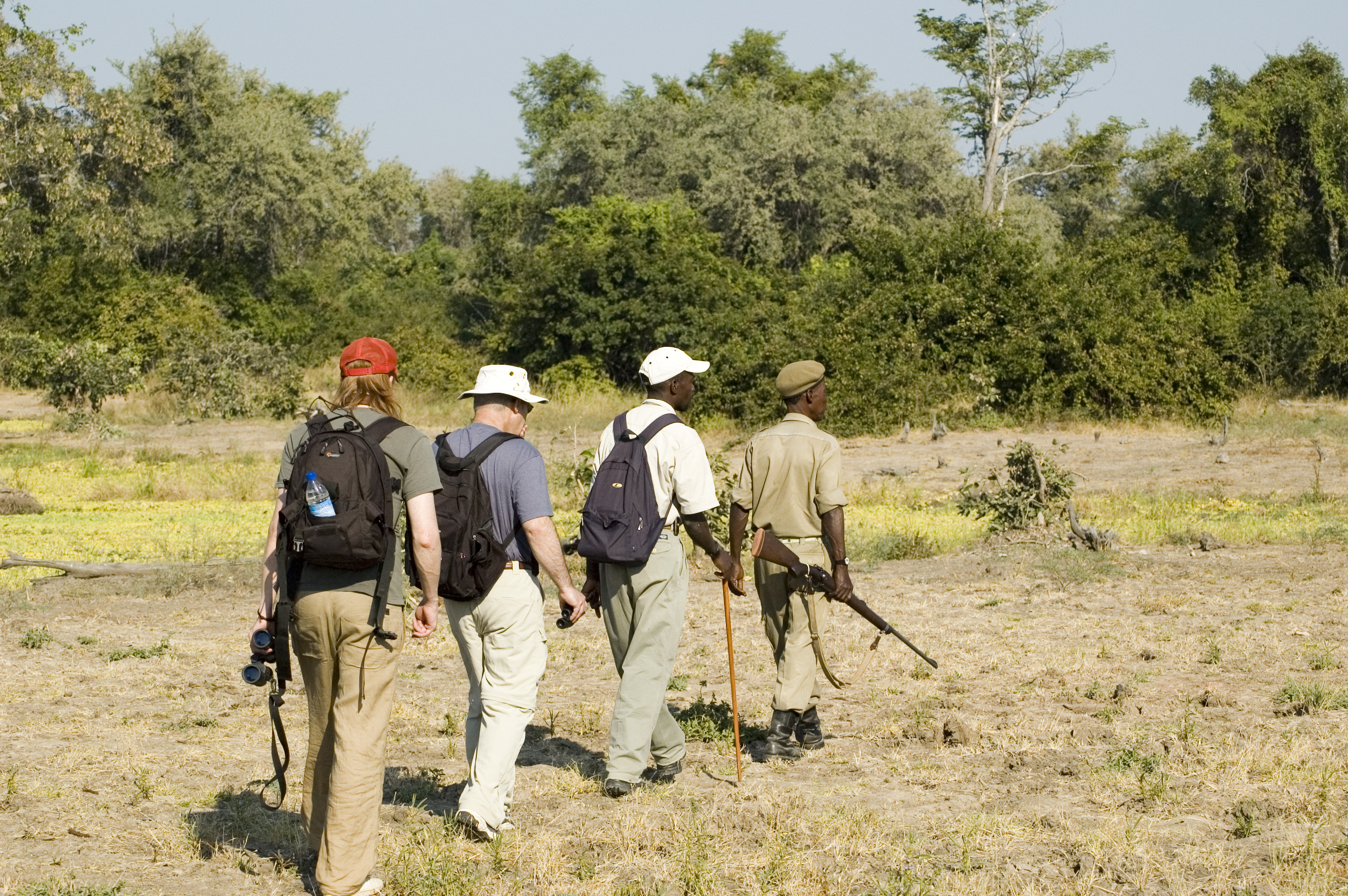 Game Drive vs Walking Safari