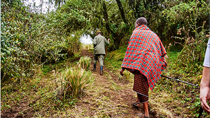 Walking Safari vs Game Drive in Tanzania