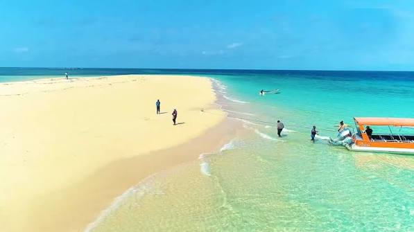 Maziwe Island Marine Reserve Guide
