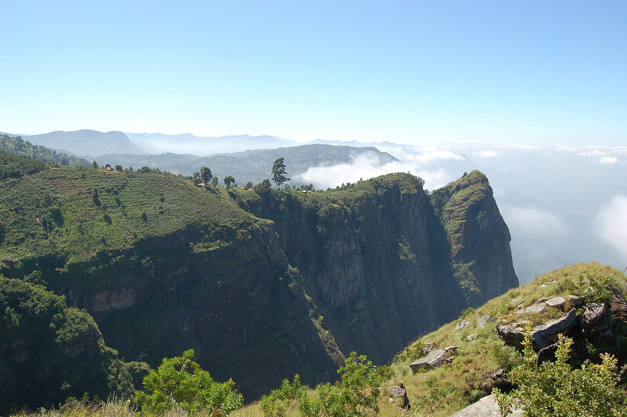 Usambara Mountains Climbing Guide