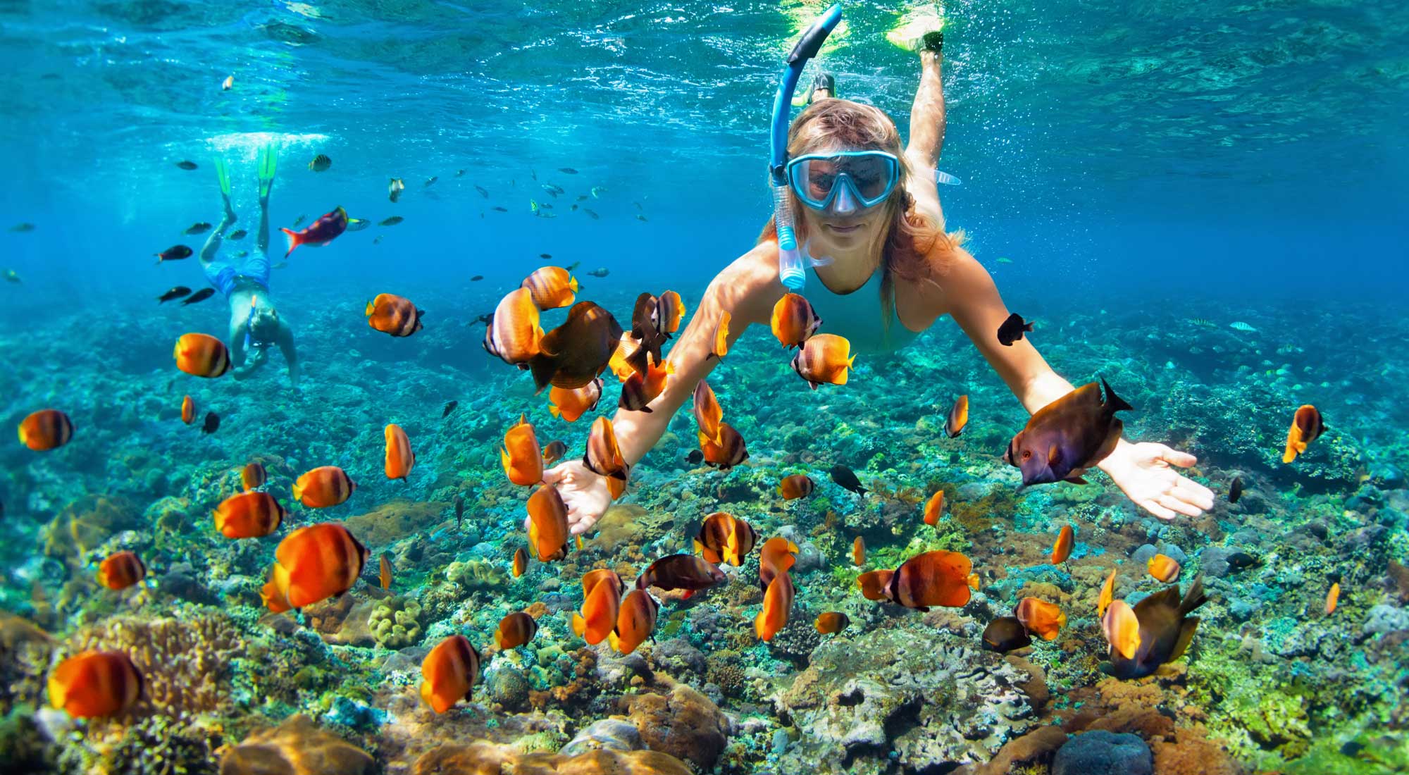 Bongoyo Island Marine Reserve Guide.