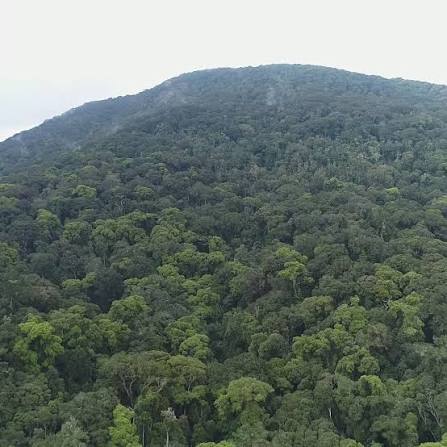 Chome Nature Forest Reserve Guide 