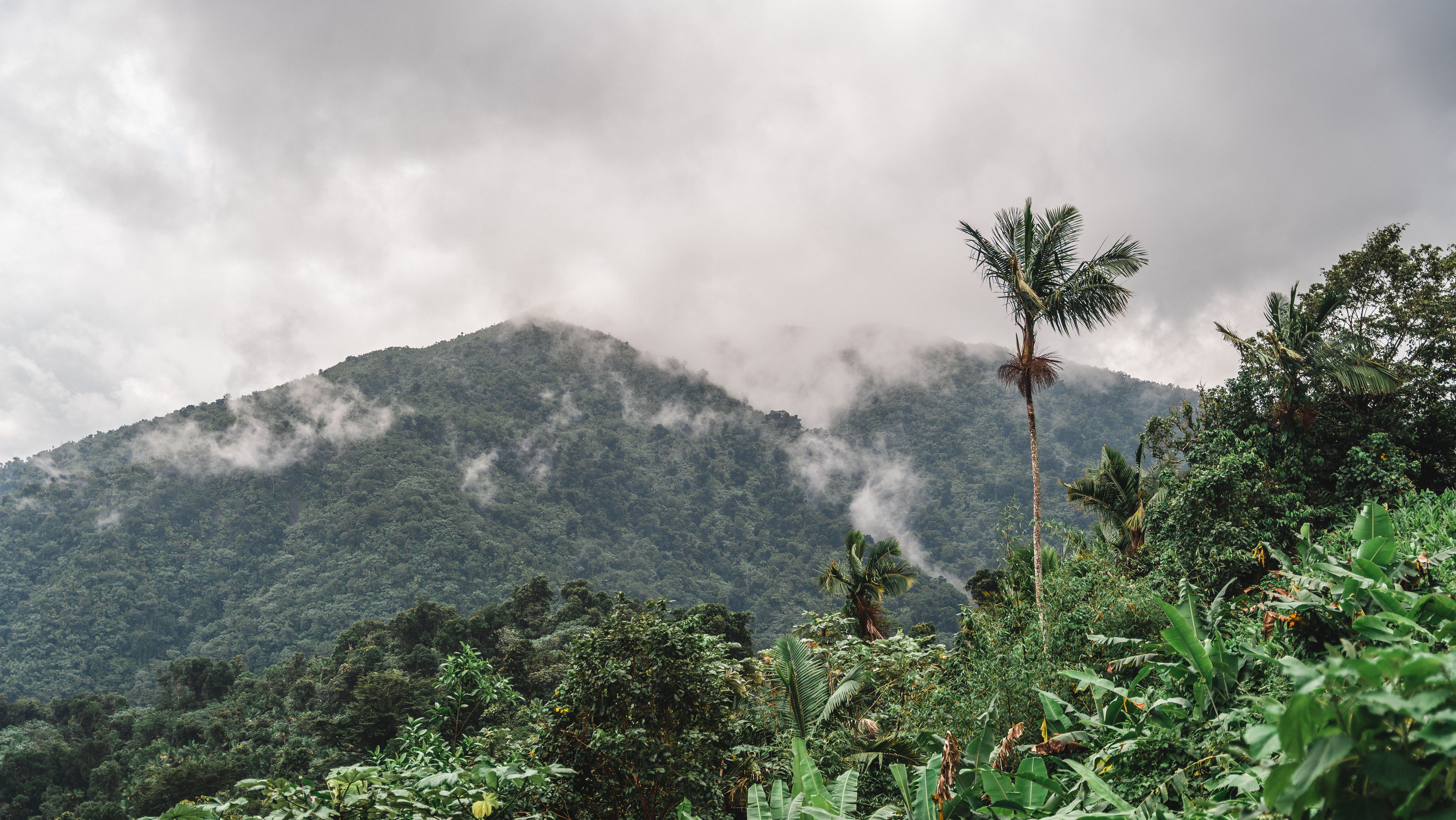 Livingstone Mountains Climbing Guide