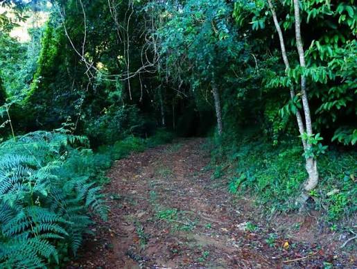 Kilombero Nature Forest Reserve Guide