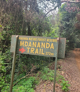 Magamba Nature Forest Reserve Guide