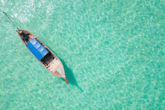 Mbudya Island Marine Reserve Guide