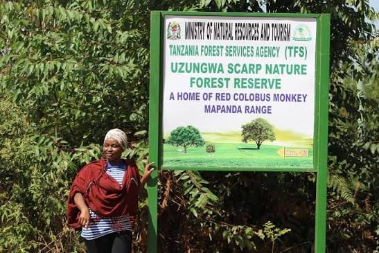 Uzungwa Scarp Nature Forest Reserve Guide
