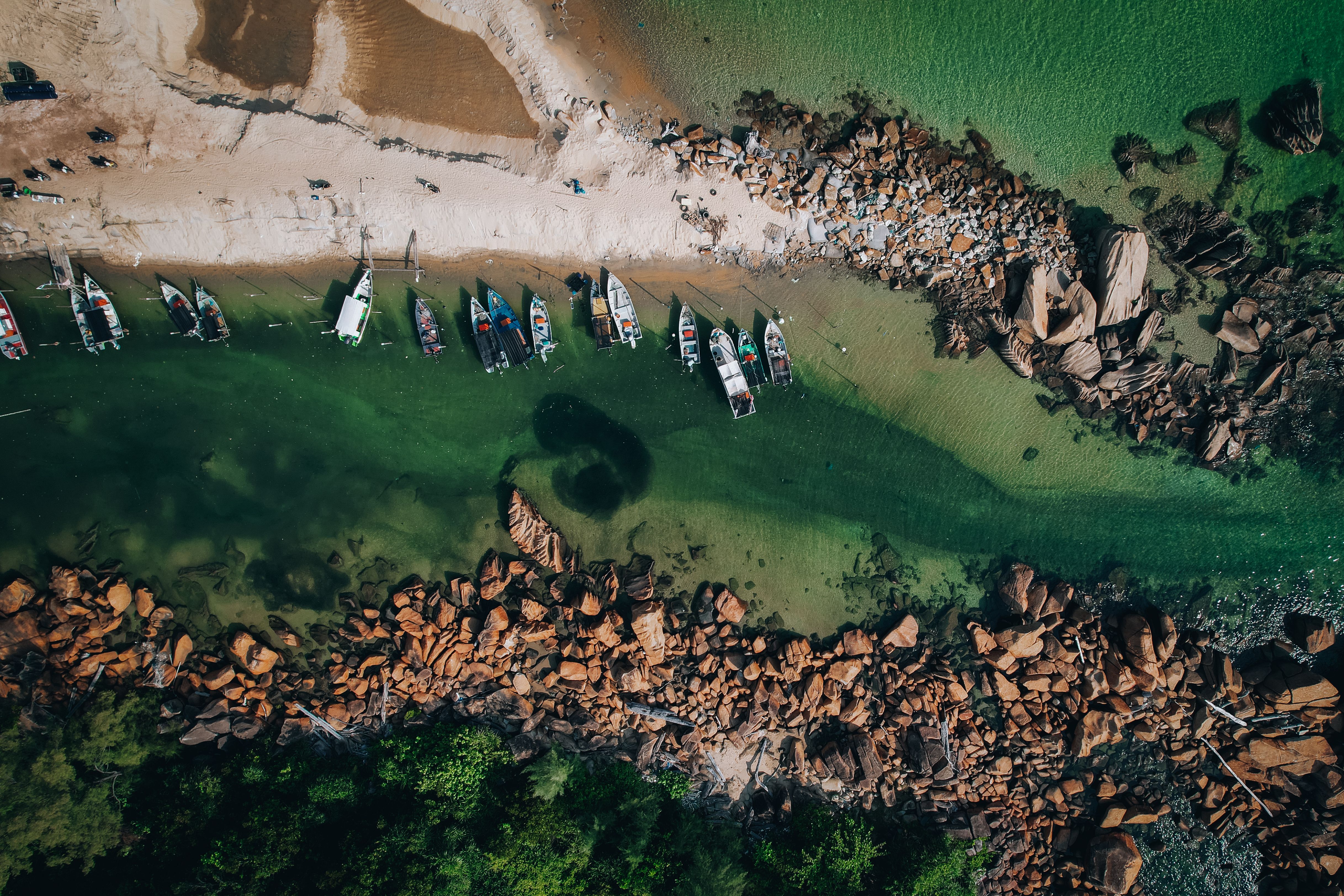 Things to Do in Musoma, Tanzania