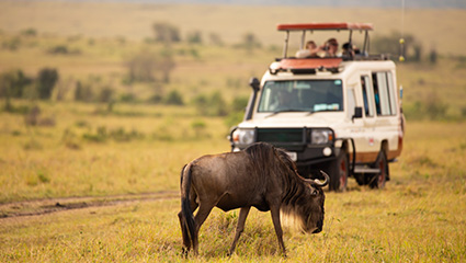 Things to Do in Lake Manyara