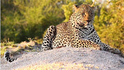 Things to Do in Ngorongoro 
