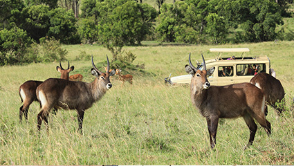 Things to Do in Tarangire 