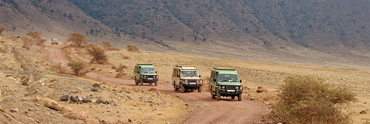 Safari-TZ Toyota Land Cruiser pop-top six-seat parked at a Serengeti lodge entrance