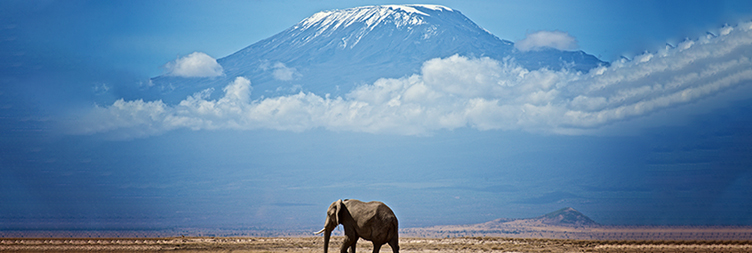 Combining Kilimanjaro With a Safari