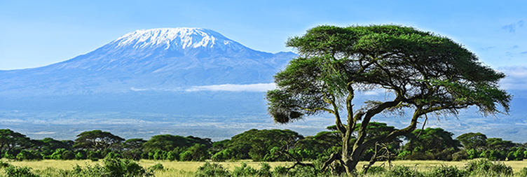 Things to Do in Kilimanjaro, Tanzania.