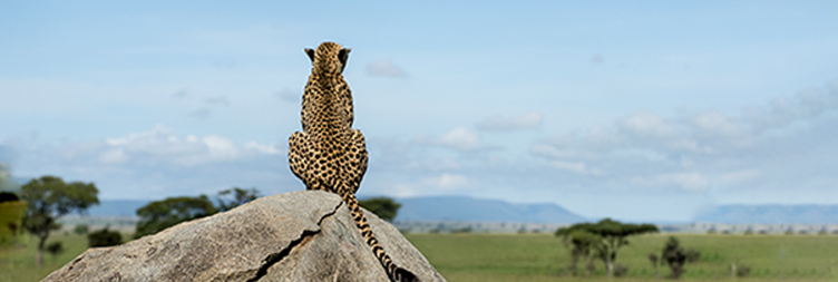 Kijereshi Game Reserve Safari Guide