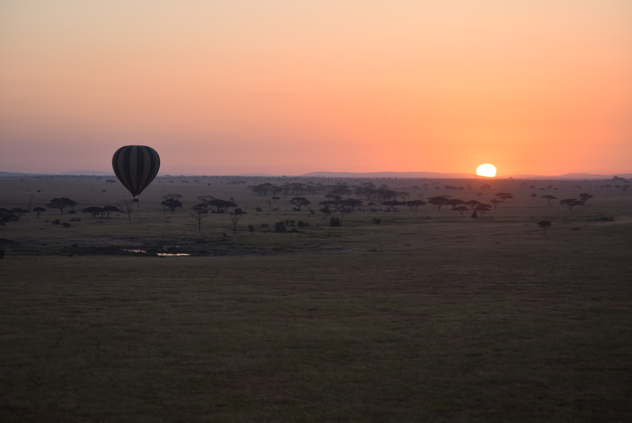 Wildebeest migration crossing the Serengeti plains — what your direct safari booking with Safari-TZ pays for
