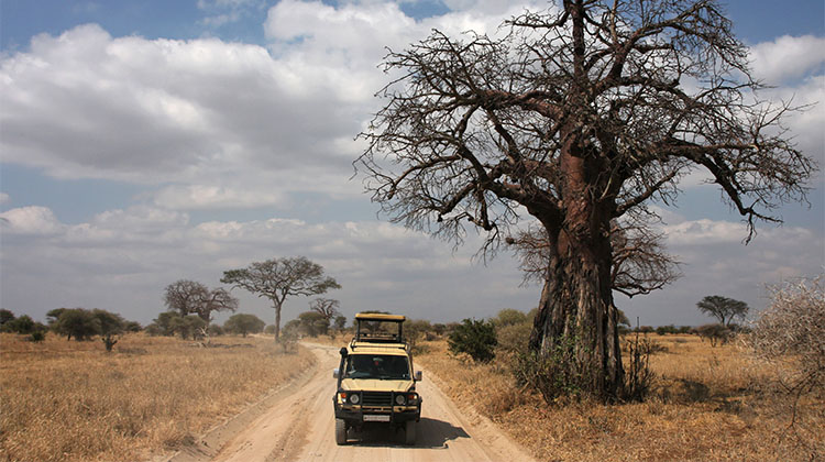 Waterbuck herd grazing in the foreground with a Safari-TZ game vehicle nearby — gentle wildlife on the Family tour