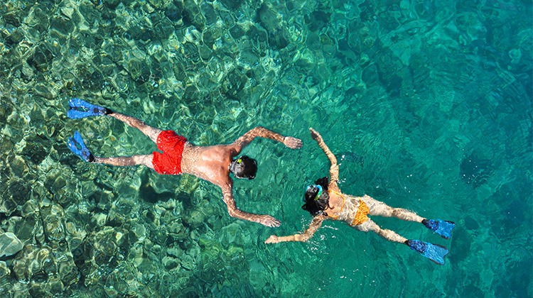 Two cheetahs at golden hour with a Safari-TZ vehicle behind — intimate sighting on the Honeymoon tour